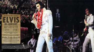 Free download Elvis 09061706 free photo or picture to be edited with GIMP online image editor