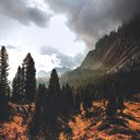Embracing the Tranquility of Nature  screen for extension Chrome web store in OffiDocs Chromium