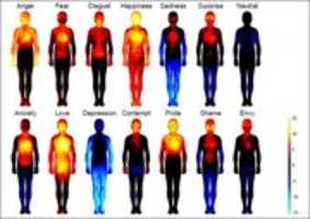 Free download emotion-body-map free photo or picture to be edited with GIMP online image editor