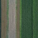 Endless fields  screen for extension Chrome web store in OffiDocs Chromium