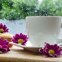 Enjoy tea and watch the rain  screen for extension Chrome web store in OffiDocs Chromium