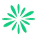 Enrichmatic LI Cookies  screen for extension Chrome web store in OffiDocs Chromium