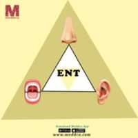 Free download Ent 111 free photo or picture to be edited with GIMP online image editor