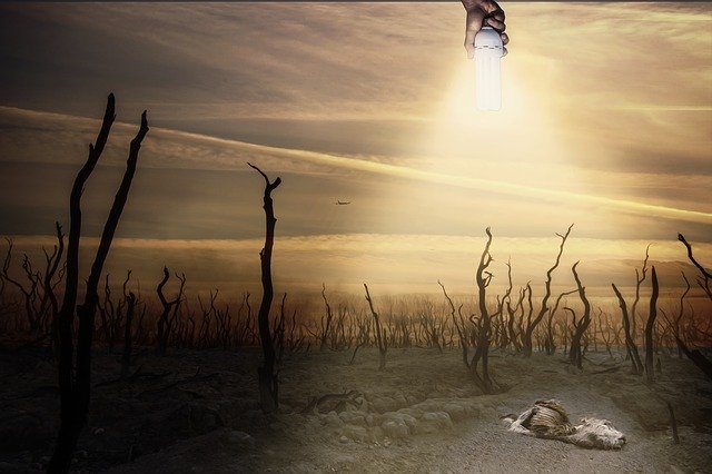 Free download environment chemtrails dead death free picture to be edited with GIMP free online image editor