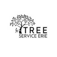 Descarga gratis Erie Tree Service Co foto o imagen gratis para editar con el editor de imágenes en línea GIMP