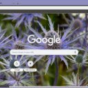 Eryngium  screen for extension Chrome web store in OffiDocs Chromium