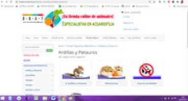 Free download especies_prohibidas_08_04_2021 free photo or picture to be edited with GIMP online image editor