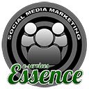 Essence E Services  screen for extension Chrome web store in OffiDocs Chromium