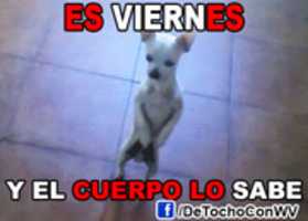 Free download Es viernes y el cuerpo lo sabe free photo or picture to be edited with GIMP online image editor