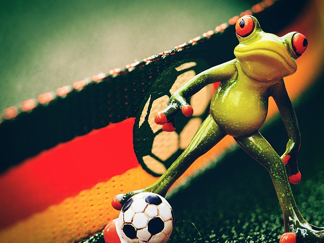 Kostenloser Download von Frosch-Fußball-Bildern zur Europameisterschaft, die mit dem kostenlosen Online-Bildbearbeitungsprogramm GIMP bearbeitet werden können