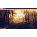 Evening Forest Path Sunbeams  screen for extension Chrome web store in OffiDocs Chromium