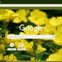 Evening Primrose  screen for extension Chrome web store in OffiDocs Chromium