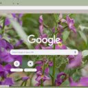 Evening Stock  screen for extension Chrome web store in OffiDocs Chromium