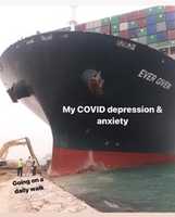 Free download Ever Given container ship blocking the Suez Canal memes 2021 free photo or picture to be edited with GIMP online image editor