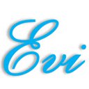 Evi for Gmail Use AI to understand your emails without reading  screen for extension Chrome web store in OffiDocs Chromium