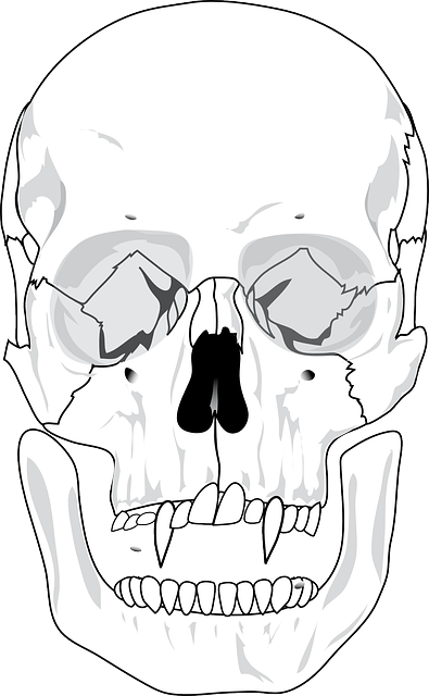 Free download Evil Skull Devil - Free vector graphic on Pixabay free illustration to be edited with GIMP free online image editor