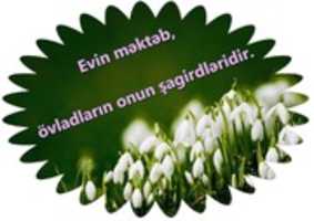 Free download Evin Mekteb free photo or picture to be edited with GIMP online image editor