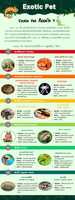 Free download Exotic Pet free photo or picture to be edited with GIMP online image editor