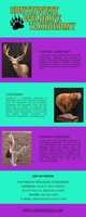 Free download Exotic Taxidermy free photo or picture to be edited with GIMP online image editor