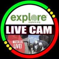 Free download Explore. Org Live Cam free photo or picture to be edited with GIMP online image editor