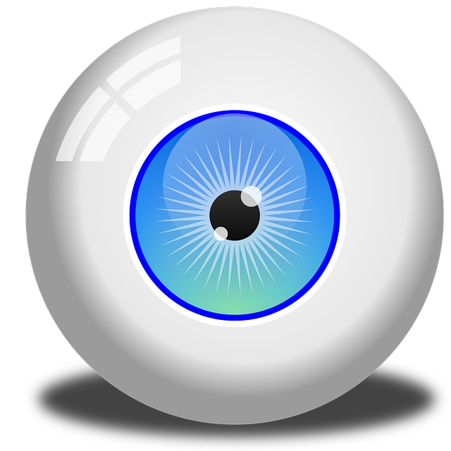 Free download Eye Eyeball Vision -  free illustration to be edited with GIMP free online image editor