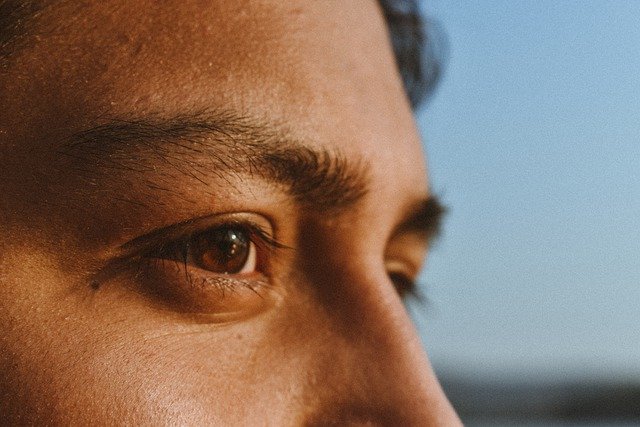 Free download eye face man sight vision skin free picture to be edited with GIMP free online image editor