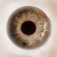 Free download eye study free photo or picture to be edited with GIMP online image editor