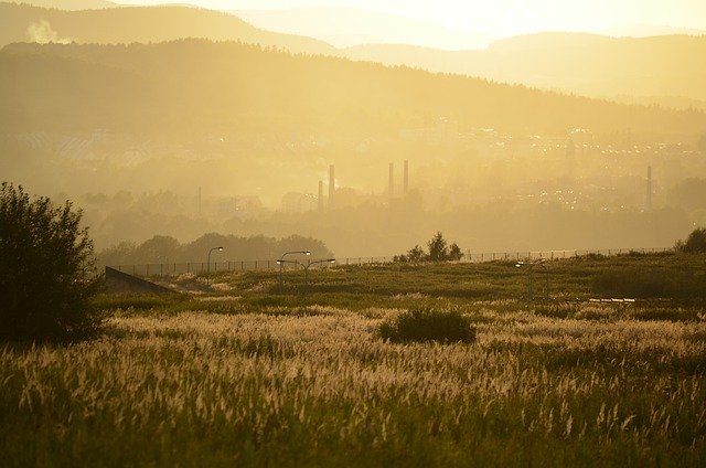 Unduh gratis gambar matahari terbenam senja alam pabrik gratis untuk diedit dengan editor gambar online gratis GIMP