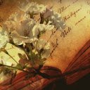 Faded paper white flowers  screen for extension Chrome web store in OffiDocs Chromium