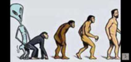 Free download Fail evolution free photo or picture to be edited with GIMP online image editor