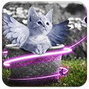 Fairy Kitten  screen for extension Chrome web store in OffiDocs Chromium