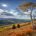 Fairyland autumn wallpaper  screen for extension Chrome web store in OffiDocs Chromium