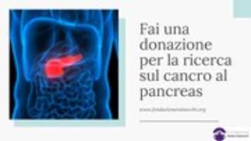 Free download Fai Una Donazione Per La Ricerca Sul Cancro Al Pancreas free photo or picture to be edited with GIMP online image editor
