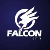 Free download Falcon free photo or picture to be edited with GIMP online image editor