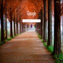 Fall (Autumn) Pathway, South Korea  screen for extension Chrome web store in OffiDocs Chromium