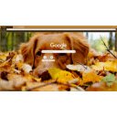 fall dog (1920x1080)  screen for extension Chrome web store in OffiDocs Chromium