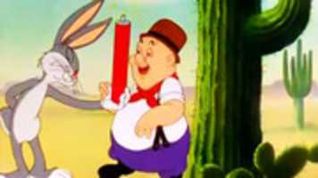 Free download Fallen Hair Copy free photo or picture to be edited with GIMP online image editor