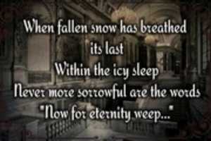 Free download Fallen Snow free photo or picture to be edited with GIMP online image editor