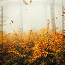 Falling Autumn  screen for extension Chrome web store in OffiDocs Chromium