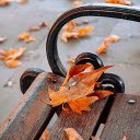 Falling Leaves  screen for extension Chrome web store in OffiDocs Chromium