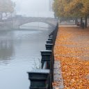 Falling leaves by the river  screen for extension Chrome web store in OffiDocs Chromium