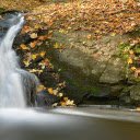 Falling Leaves Stream Bank  screen for extension Chrome web store in OffiDocs Chromium