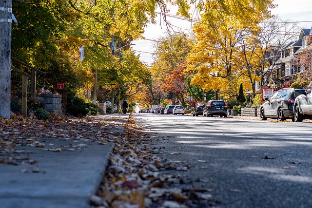 Безкоштовно завантажте безкоштовне зображення осінь природа вулиця осінній захід для редагування за допомогою безкоштовного онлайн-редактора зображень GIMP