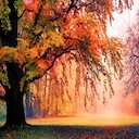 Fall Scenery Theme  screen for extension Chrome web store in OffiDocs Chromium