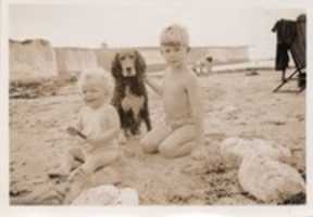 Free download Family Dog And Children, Epple Bay, Birchington, Kent, U. K., 1946 free photo or picture to be edited with GIMP online image editor