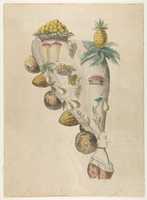 Free download Fantastic Hairdresses with Fruit and Vegetable Motifs free photo or picture to be edited with GIMP online image editor