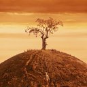 Fantastic Mr. Fox hill (1920x1080)  screen for extension Chrome web store in OffiDocs Chromium