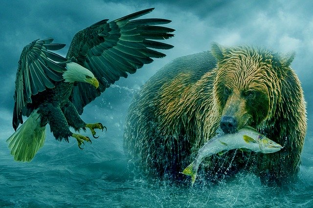 Бесплатно скачайте бесплатный шаблон фотографии Fantasy Animal Bear для редактирования с помощью онлайн-редактора изображений GIMP