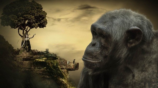 Free download fantasy ape landscape tree woman free picture to be edited with GIMP free online image editor