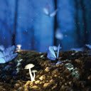 Fantasy Butterflies  screen for extension Chrome web store in OffiDocs Chromium